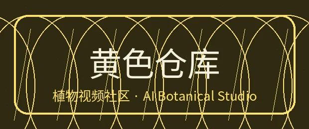 黄色仓库